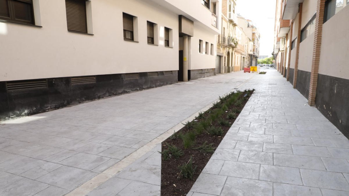 Minijardines en la calle Girona