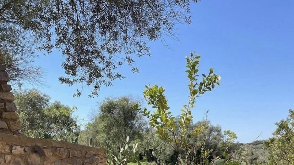 Así creen los extranjeros que es el desayuno en España y esta es la respuesta de Twitter que se ha hecho viral