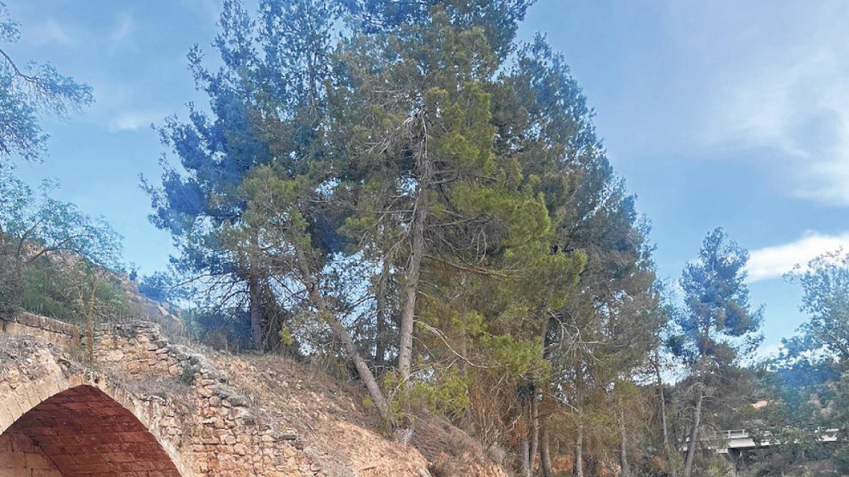 Els Mossos avorten una rave en un paratge de Cervià de les Garrigues