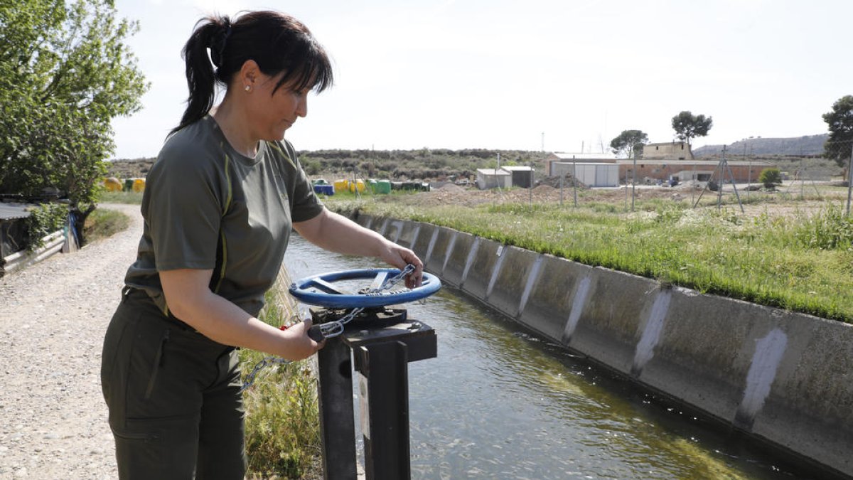 Los candados instalados durante para fin de semana en la acequia del Cap en Rosselló.