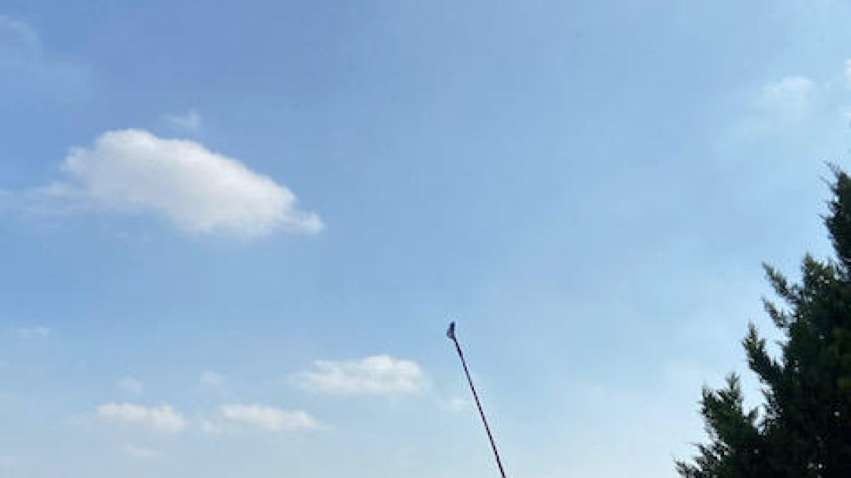 Imagen de la competición disputada en Torre-serona el año pasado.