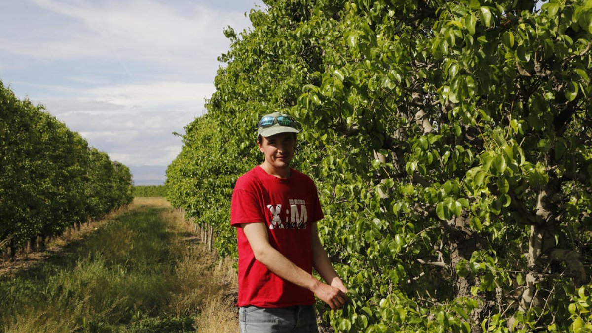 Bernat Ramon, als seus camps de fruiters a Ivars d’Urgell.
