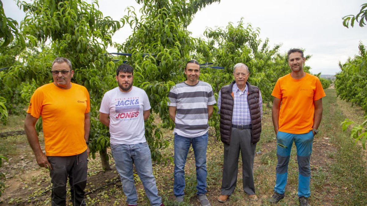J. Mateu, Eduard Oronich, Miquel Ribelles, Eduardo Pons y E. Valls, todos afectados por la medida.