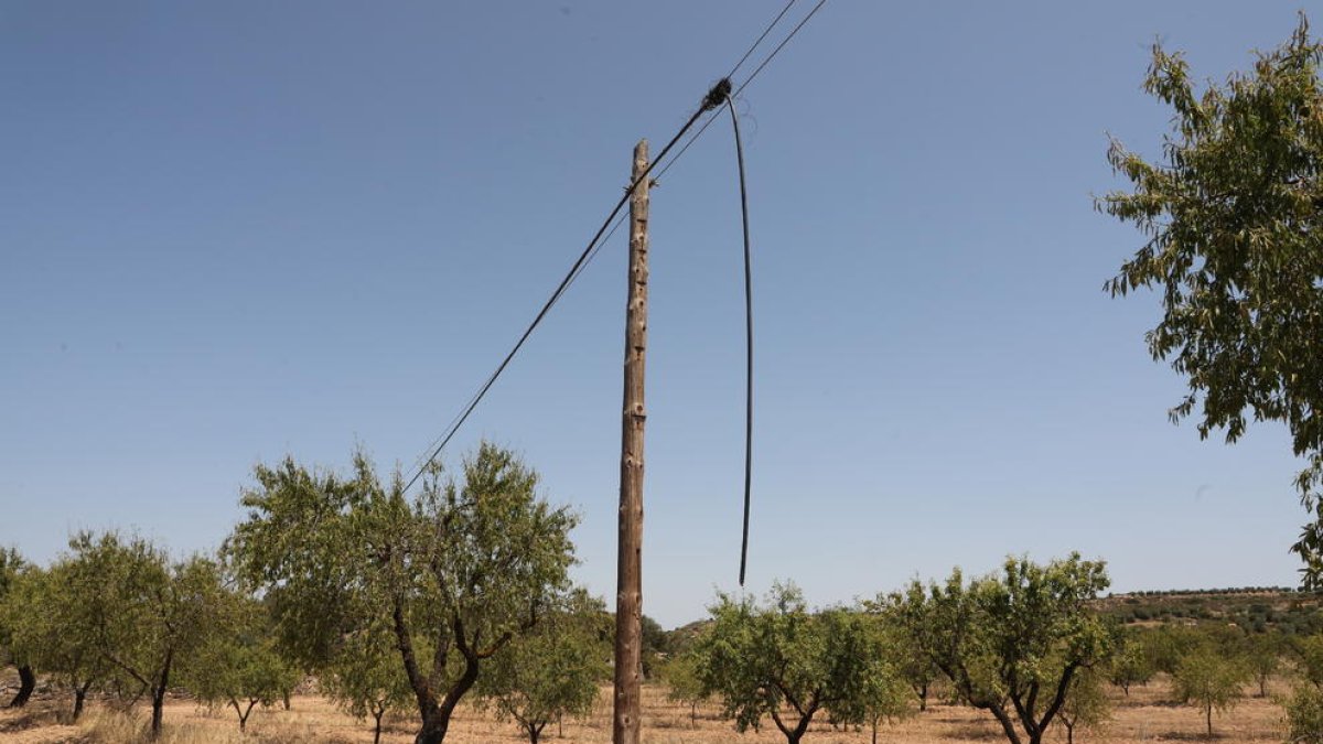 Imatge del pal on es va robar el cable telefònic.