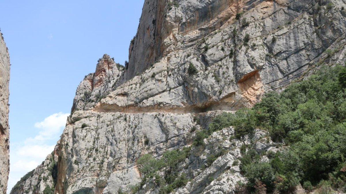 El pendent afectat pel despreniment que talla el camí.