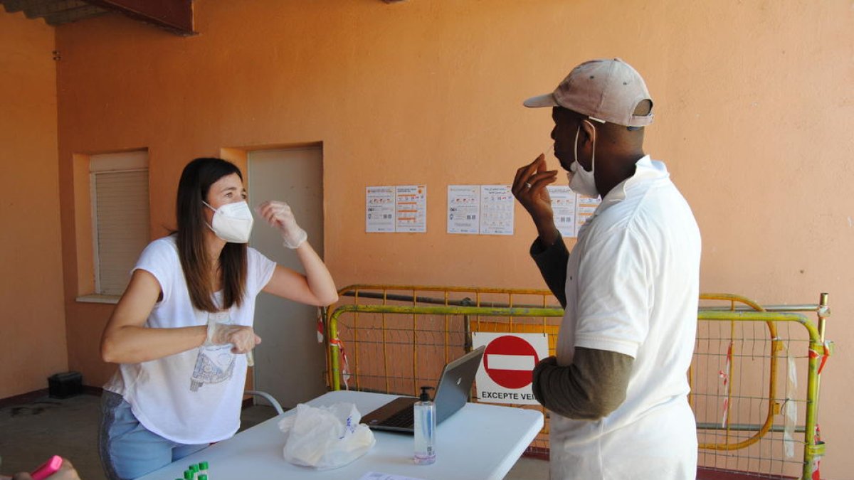 Imagen de cribado de Covid entre trabajadores de la fruta en Bell-lloc el pasado mes de junio.