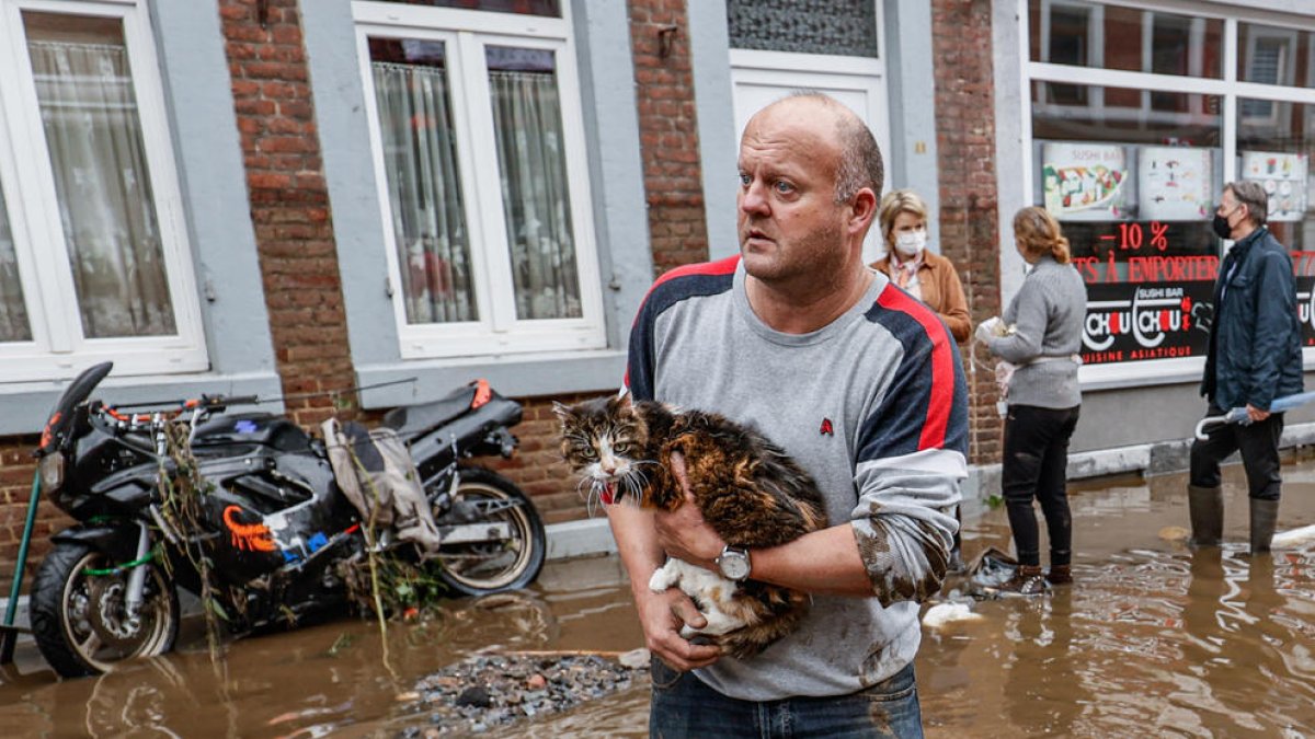 Un hombre sostiene un gato en la ciudad belga de Pepinster.