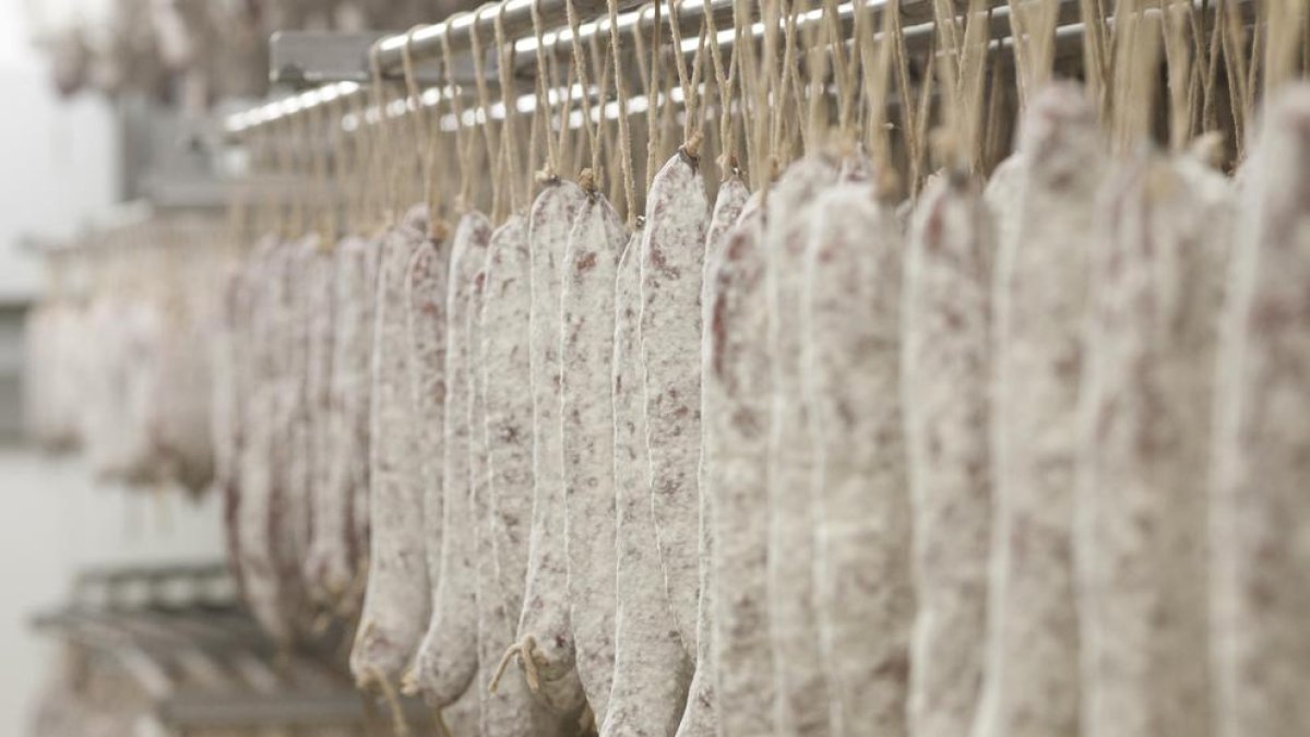 França retira tots els lots de fuet d'una empresa de Girona per 45 casos de salmonel·losi