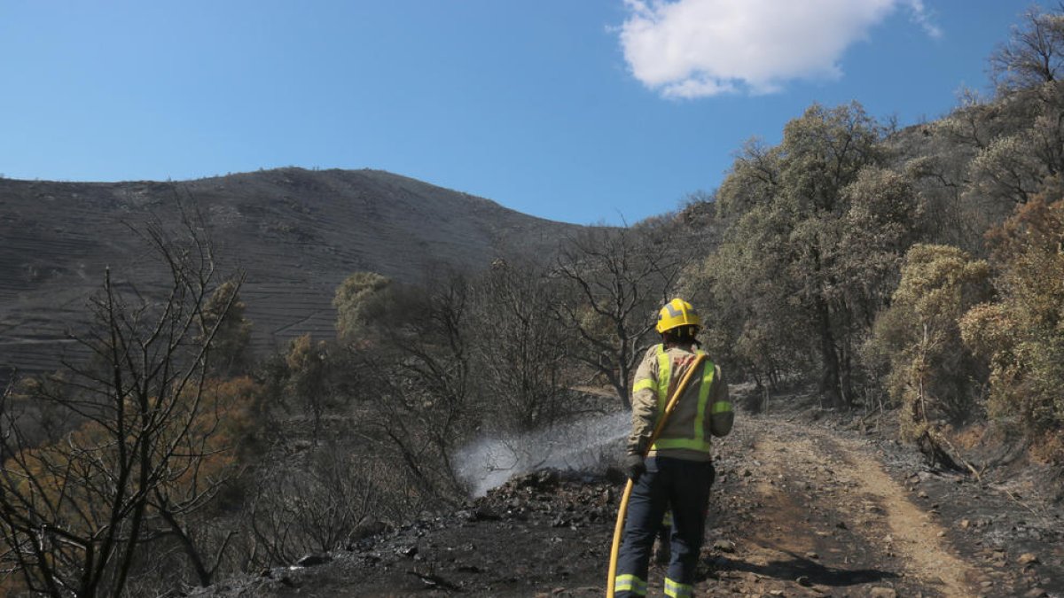 Bomberos trabajando ayer domingo en el incendio de Llançà.