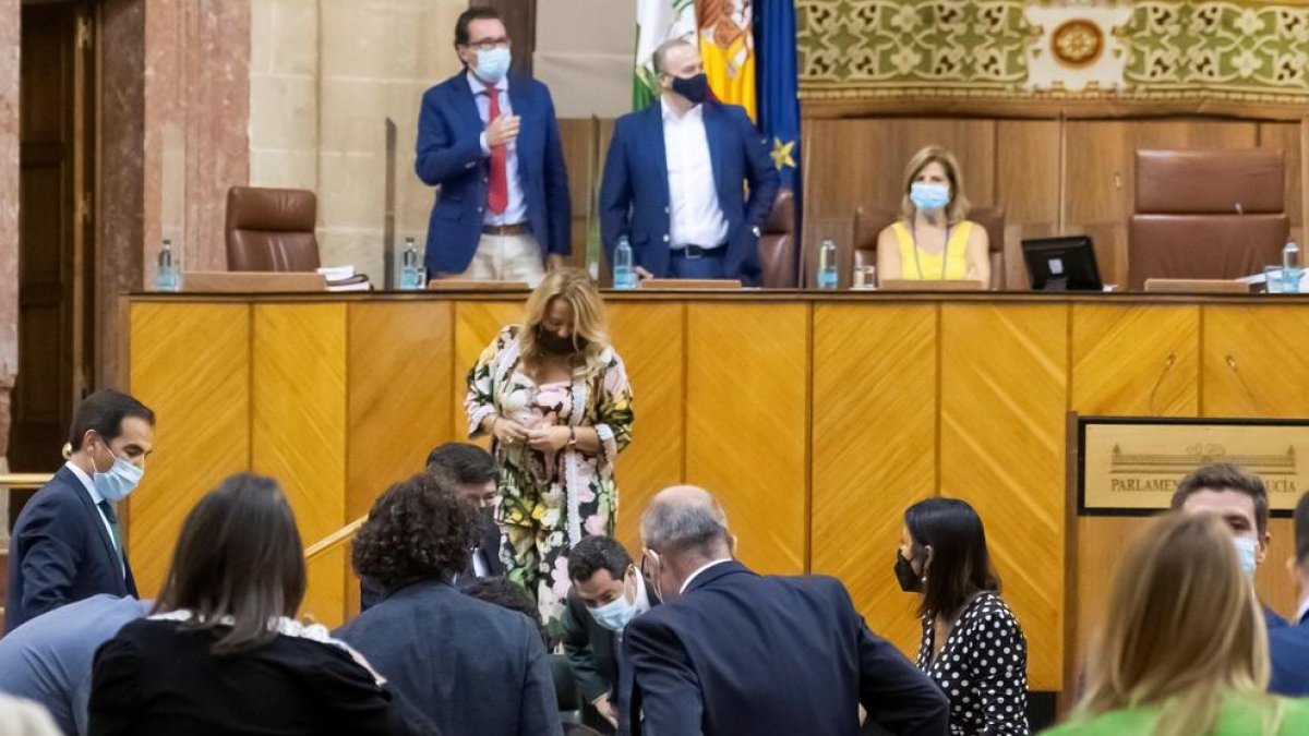Una rata enorme irromp en el Parlament andalús i per a la sessió