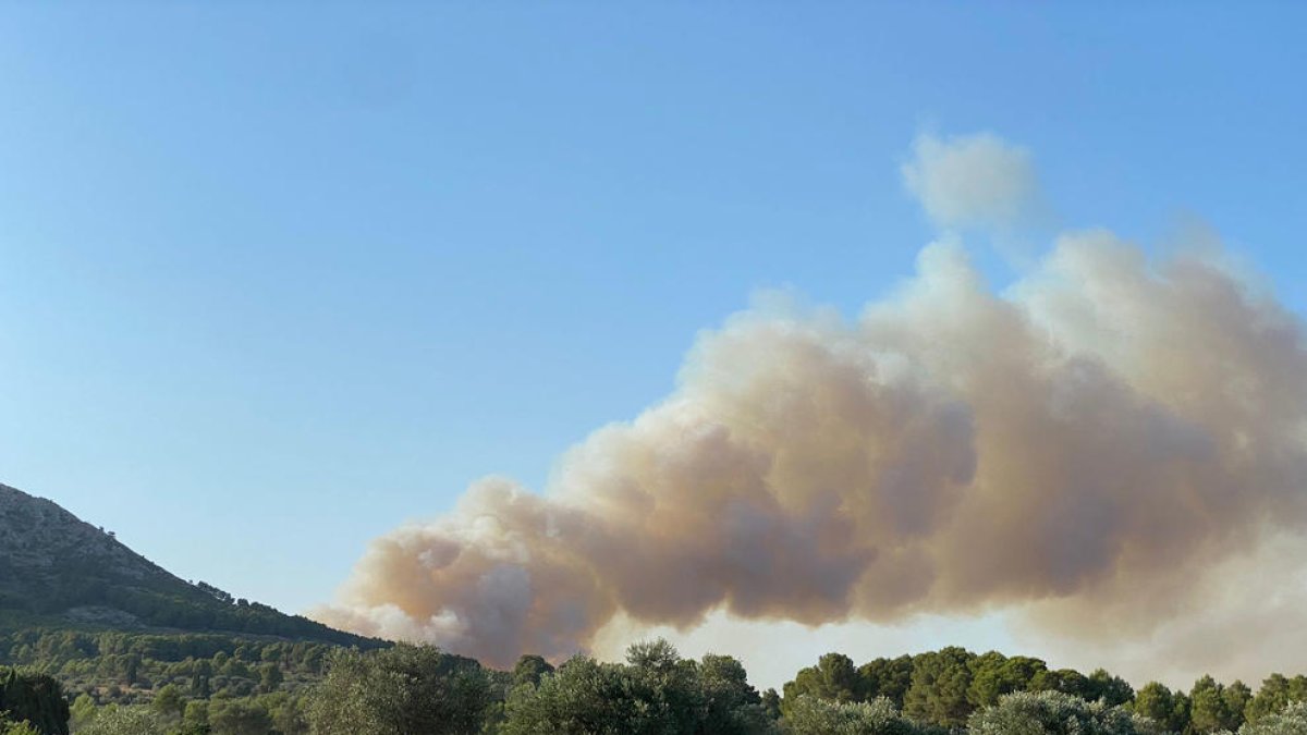 Els Bombers treballen en un incendi al massís del Montgrí sobre una superfície de 20 hectàrees