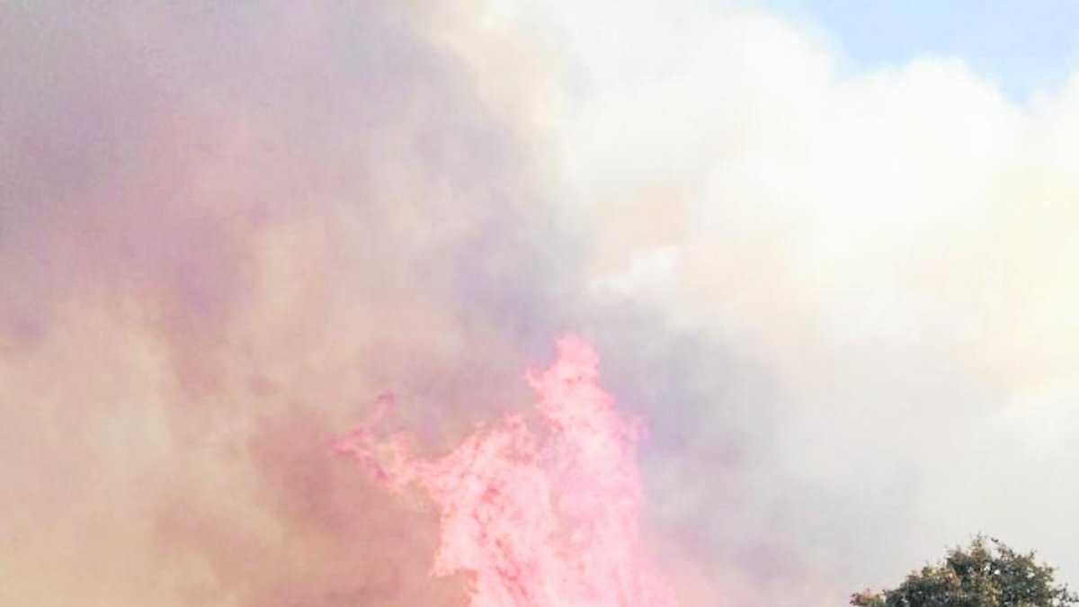 Foto del incendio de Santa Coloma de Queralt cerca de la carretera.