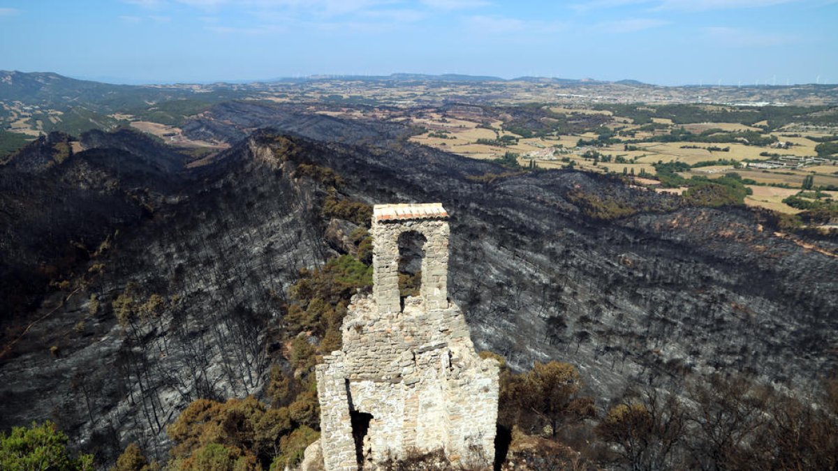 Parte de la zona quemada vista desde el castillo de Queralt.