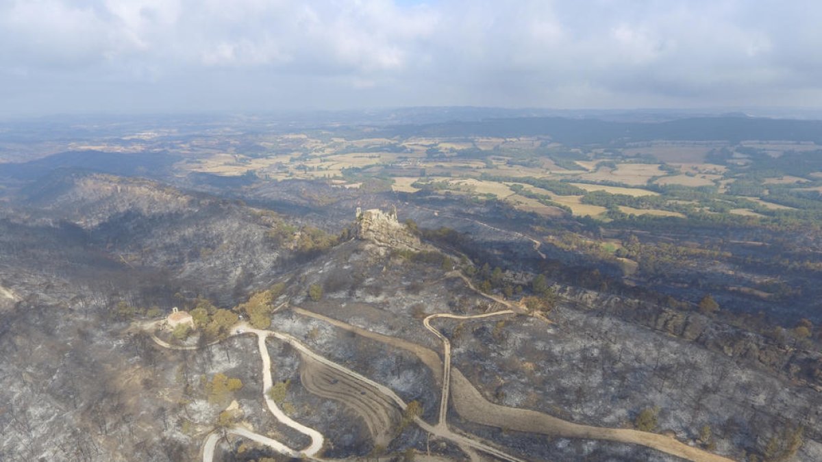 Una de les zones afectades pel gran incendi de l’Anoia.