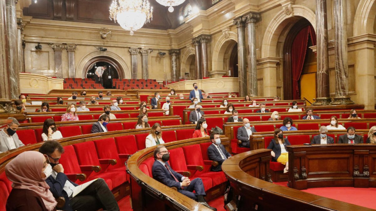 El Parlamento aprueba limitar el crecimiento de las granjas a las zonas con las aguas más contaminadas por los purines
