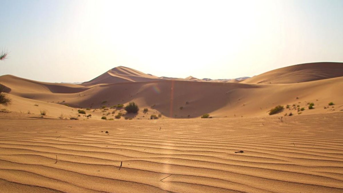 El poder de l'ésser humà sobre el clima