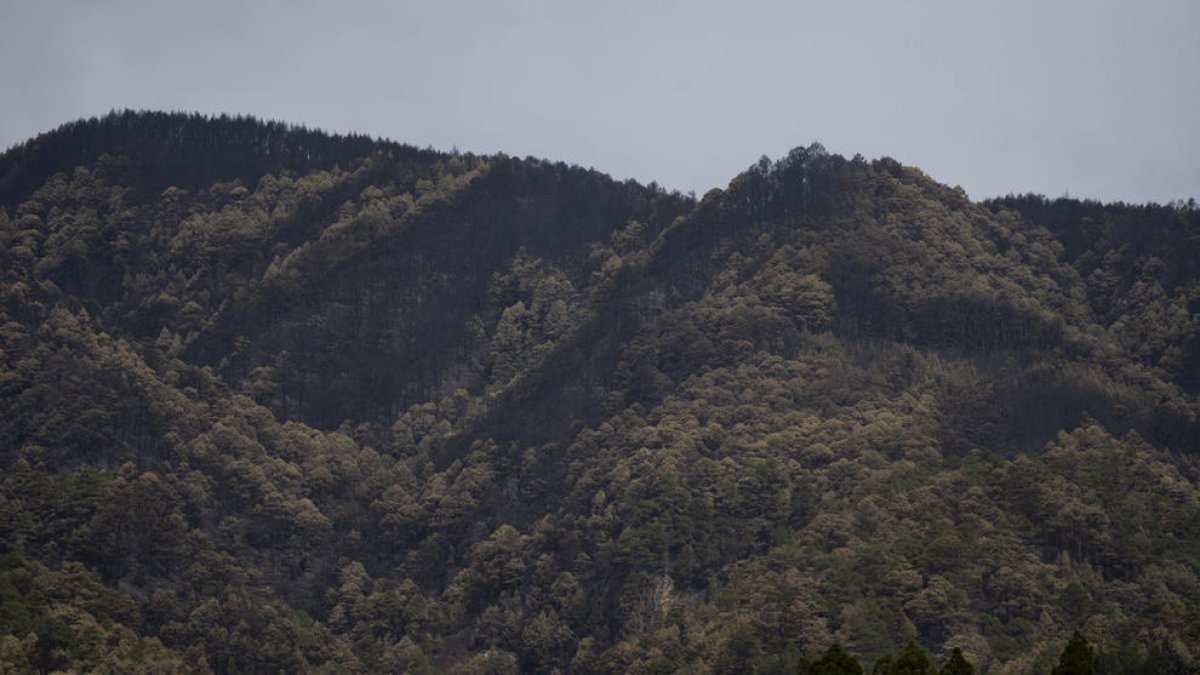 Controlado el incendio de Tenerife tras casi un mes desde su inicio