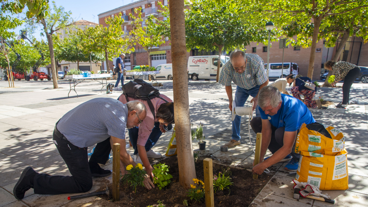 Adornen amb flors sis escocells de la plaça dels Ferroviaris - GERARD HOYAS