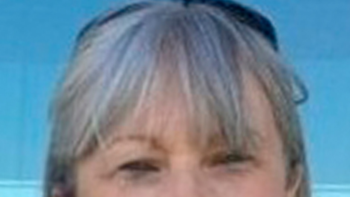 Educació i ocupació: els pilars oblidats de l’estratègia de la Paeria - SEGRE