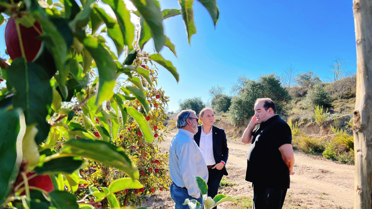 El Canal d’Urgell al seu pas per Arbeca una vegada finalitzada la campanya de regs encara que ha de garantir aigua per a proveïments. - S.G.LL.