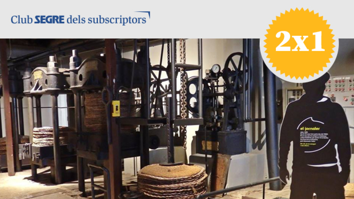 El Museo del Aceite de Catalunya, ubicado en La Granadella, nos descubre el proceso de elaboración del mejor aceite del mundo: el aceite de oliva virgen extra.