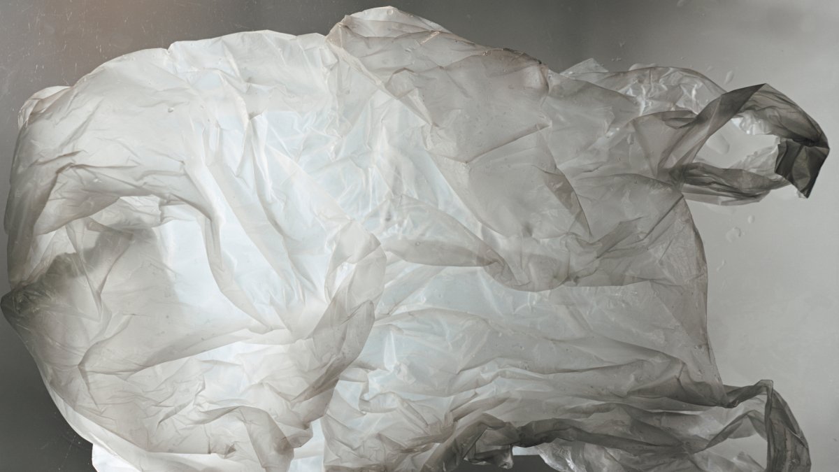 El estudio muestra una mayor toxicidad en bolsas compostables que en las de plástico convencional.