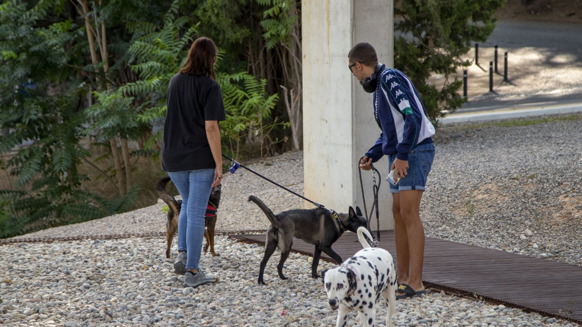 Lleidatans passejant amb el gos aquest estiu. - SEGRE