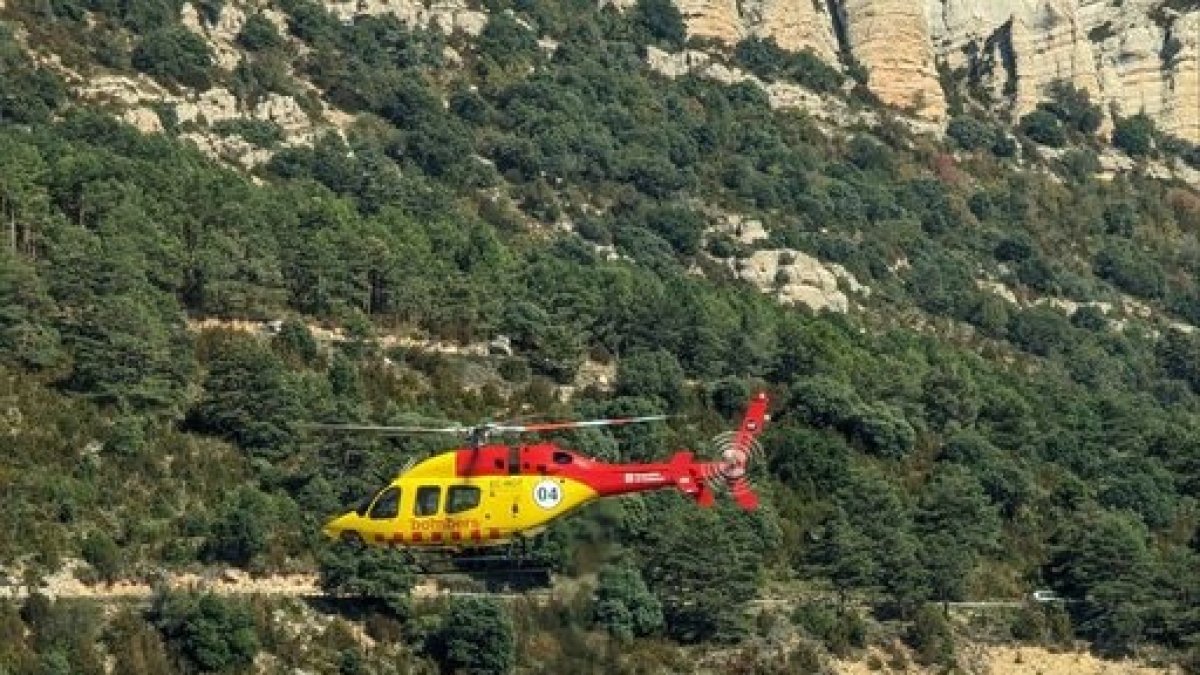 El primer rescat que van efectuar els Bombers ahir a Àger. - BOMBERS