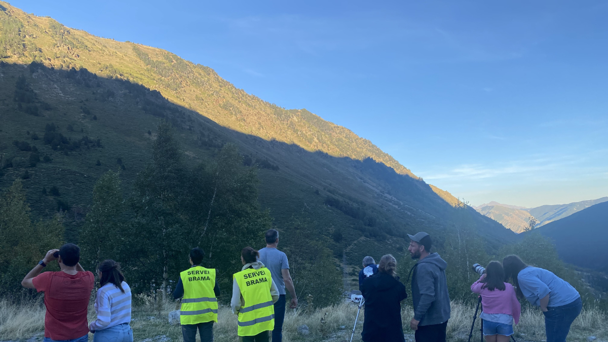 Decenas de personas asisten al espectáculo de la berrea del ciervo - EDGAR ALDANA