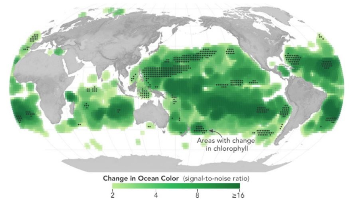Canvis en el color de l’oceà en els últims 20 anys.