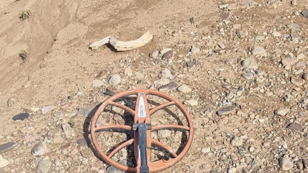 Sanción por usar un detector - AGENTES RURALES