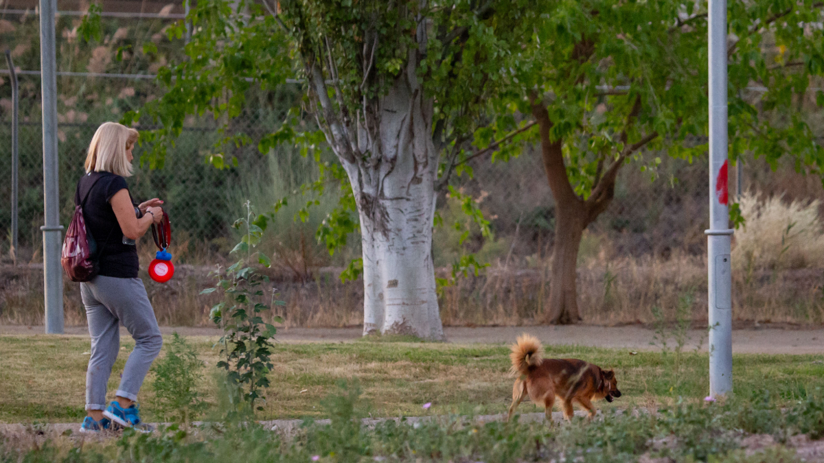 El parc per a gossos als jardins Jaume Magre. - JORDI ECHEVARRIA