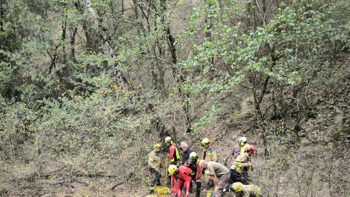 Moment en què els bombers van treure el gos de l’interior del canal.