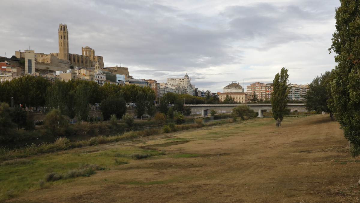 L’estat actual del parc de la canalització del riu Segre, amb zones visiblement seques i degradades.