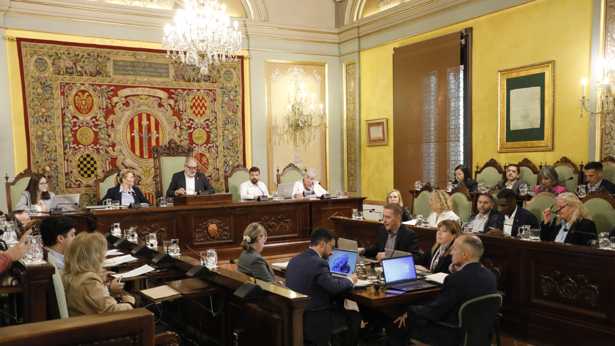 Una imagen del pleno de la Paeria de este viernes.