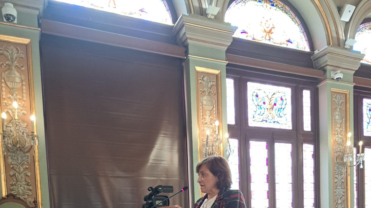 La presidenta veïnal de Noguerola va intervenir ahir en el ple. - SCD