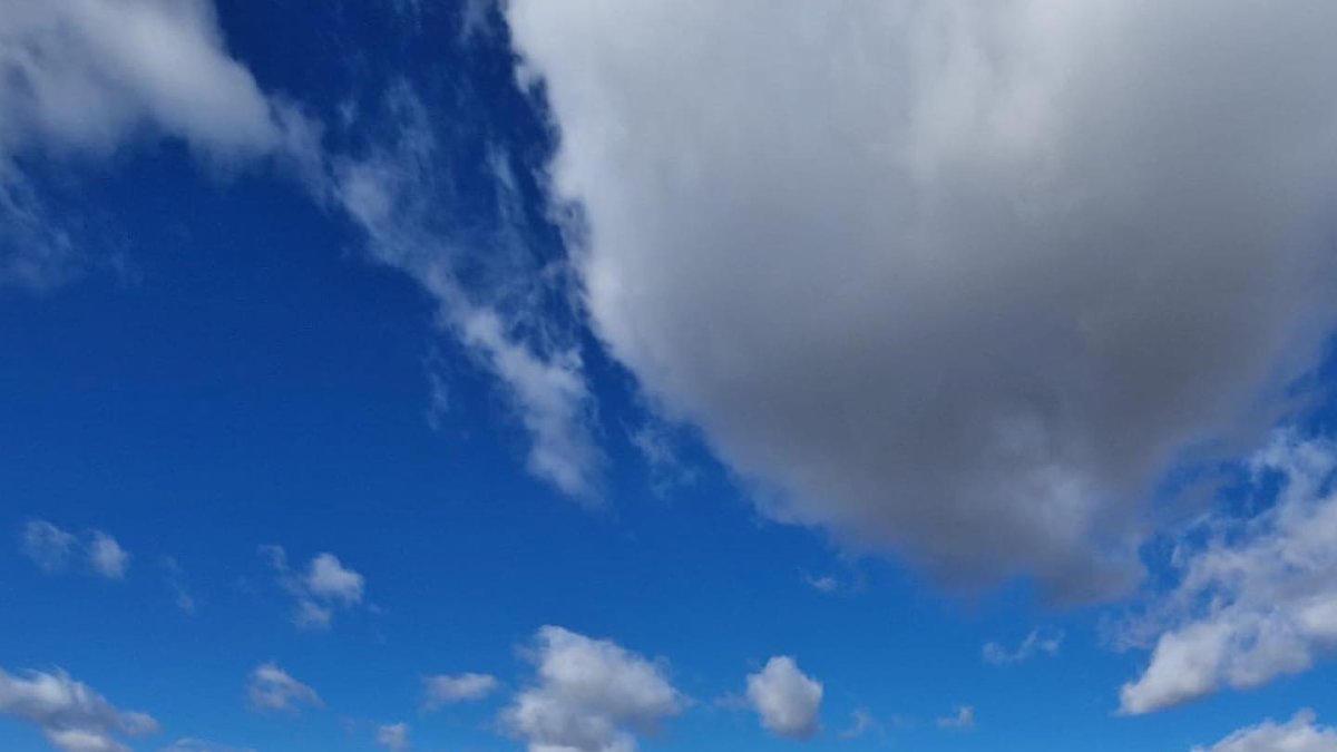 Aquesta setmana s’han iniciat els treballs. - A. A