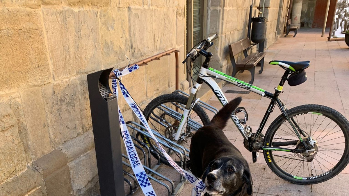 El gos lligat amb un precinte policial davant de la Paeria.
