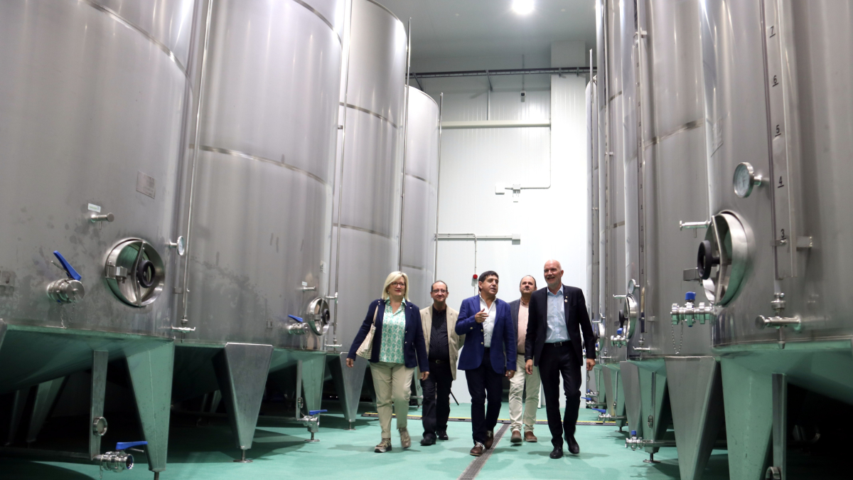 El conseller d'Acció Climàtica, Agricultura i Agenda Rural, David Mascort, durant la visita institucional al nou molí d'oli de la cooperativa de la Granadella.