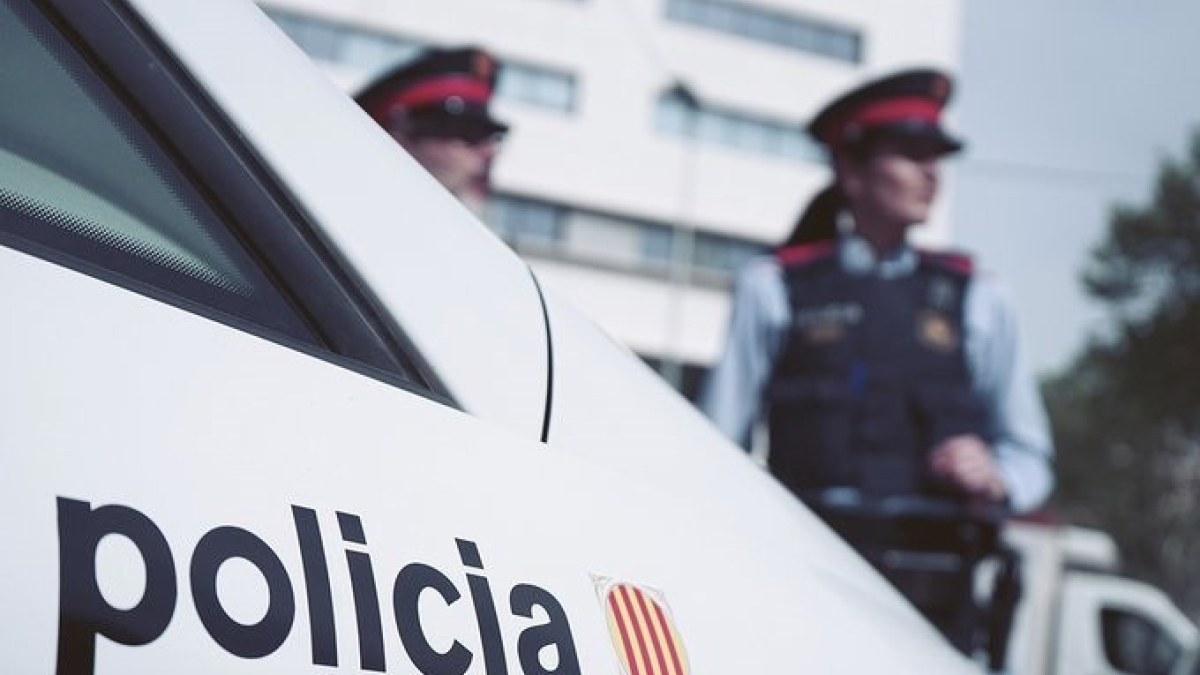 @MOSSOS - Archivo