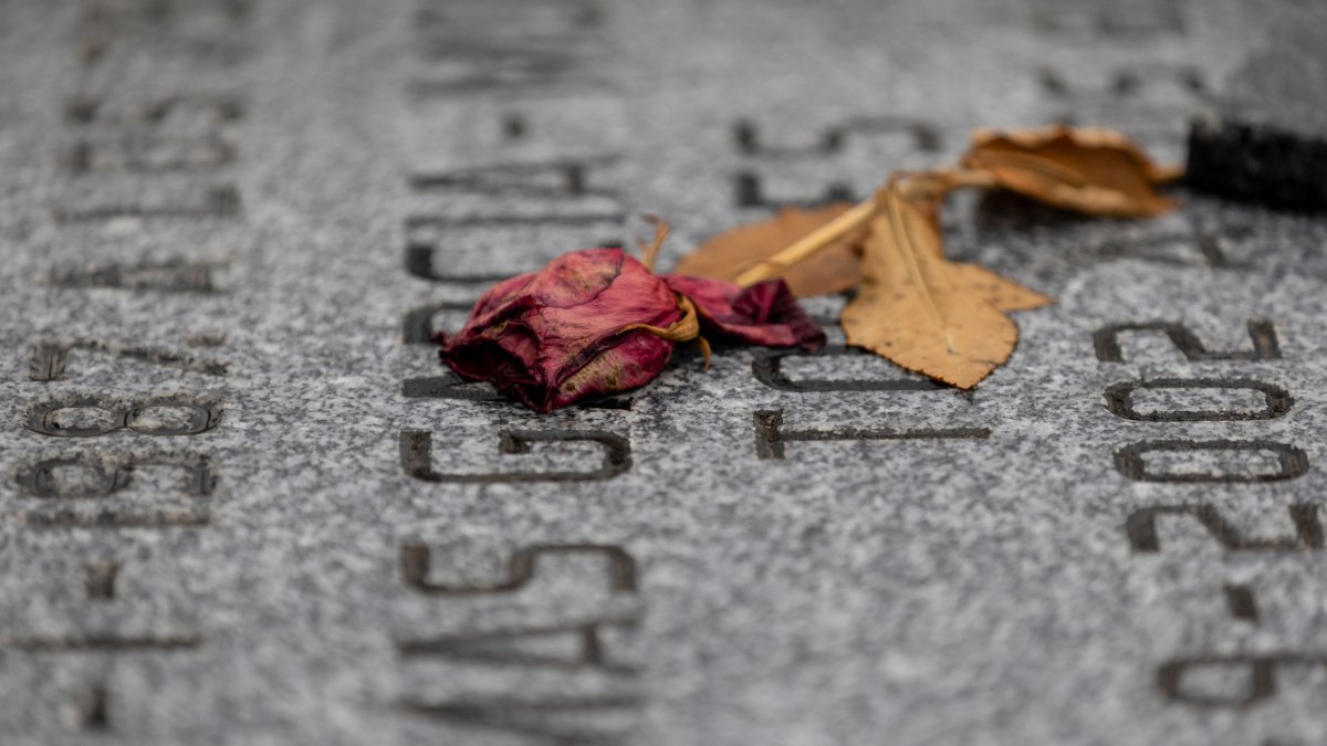 Una rosa roja asseca sobre una tomba al cementiri de l’Almudena a Madrid. EUROPA PRESS. 