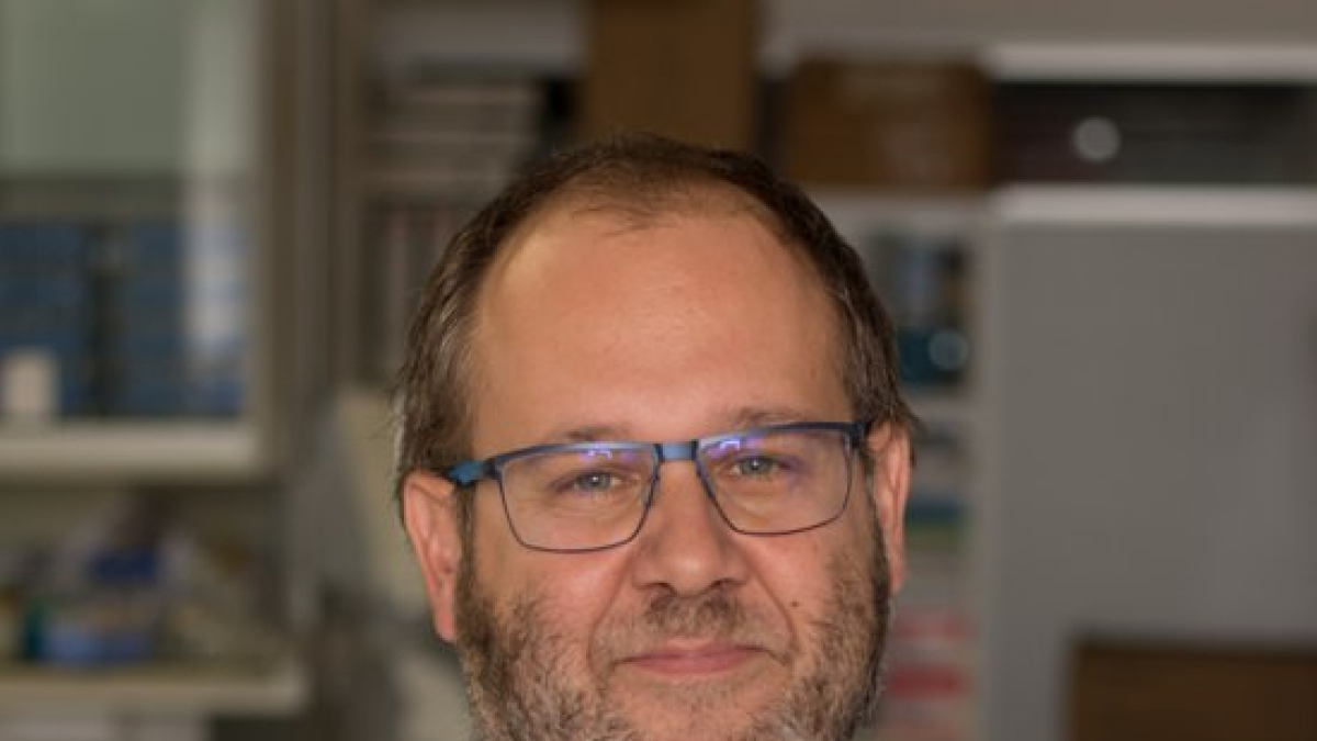 La qualitat de vida dels pacients amb ictus - SEGRE