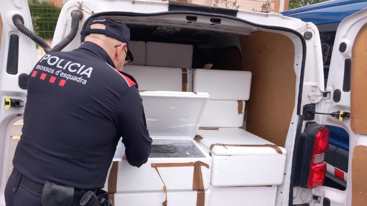 Un Mosso amb la furgoneta on han trobat les angules.