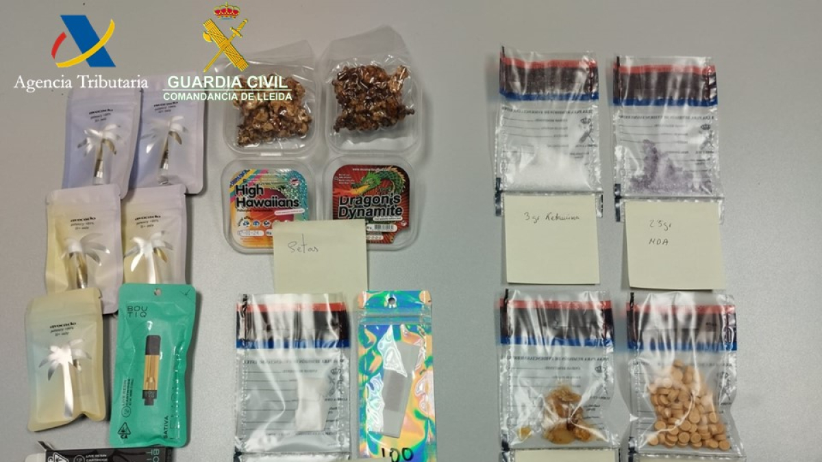 Detalle de la droga intervenida por la Guardia Civil en la aduana de la Farga de Moles.