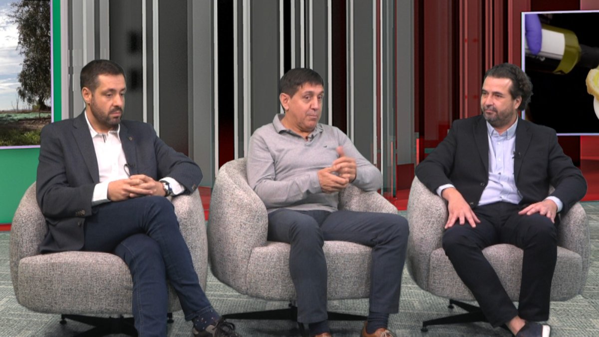 El sector del aceite, en Lleida TV - LLEIDA TV