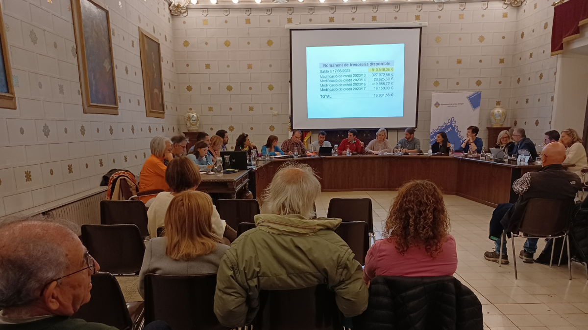 Un moment del ple celebrat ahir. - C. SANS