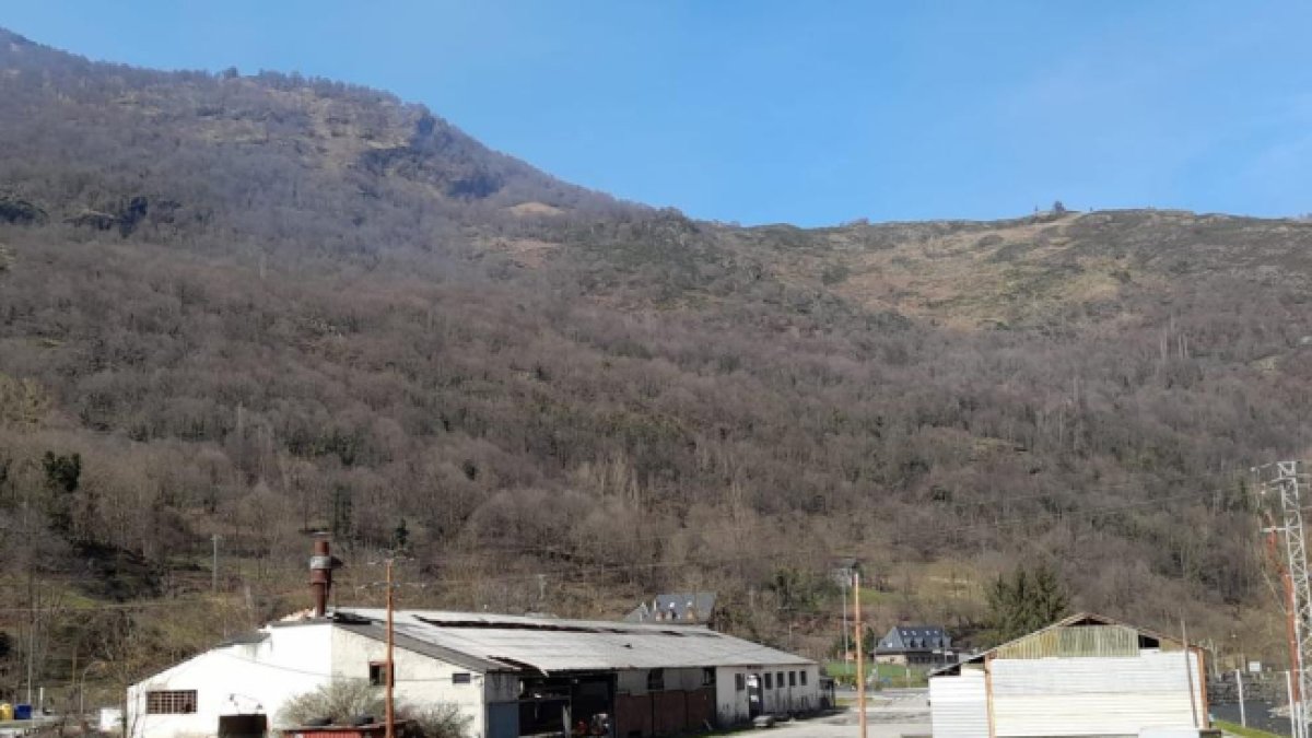 Les naus que acolliran el centre logístic de biomassa de Les.