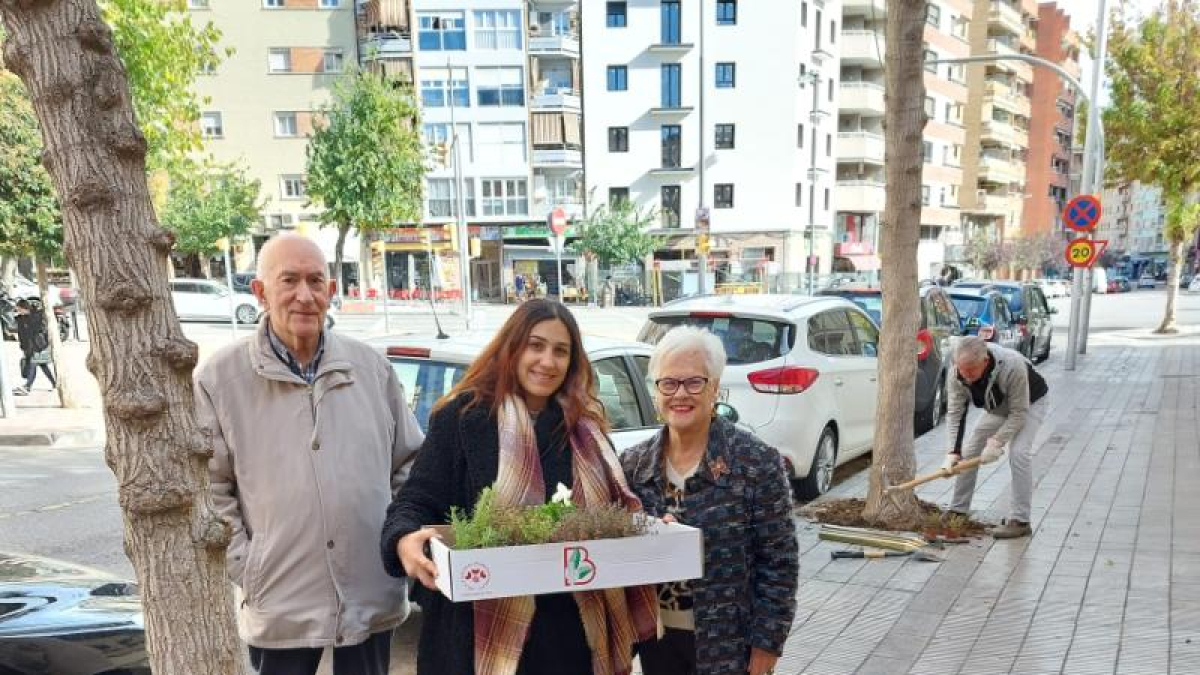 L’associació es dedica a decorar els escocells de la ciutat. - ESCOCELLS LLEIDA