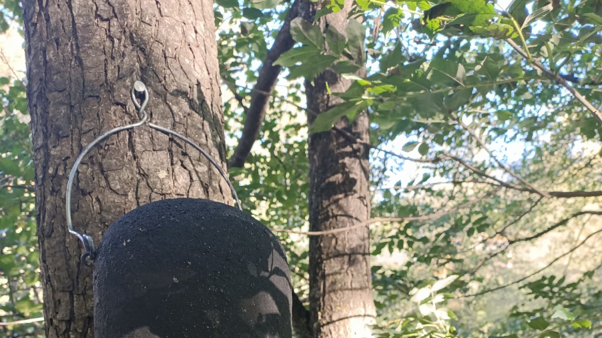 Una de las cajas instaladas recientemente. - AJUNTAMENT DE LA SEU