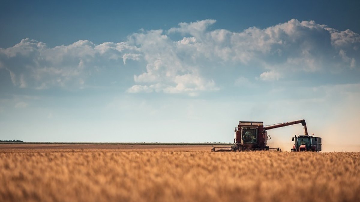 Els agricultors defensen el seu ús en les explotacions. - EUROPA PRESS